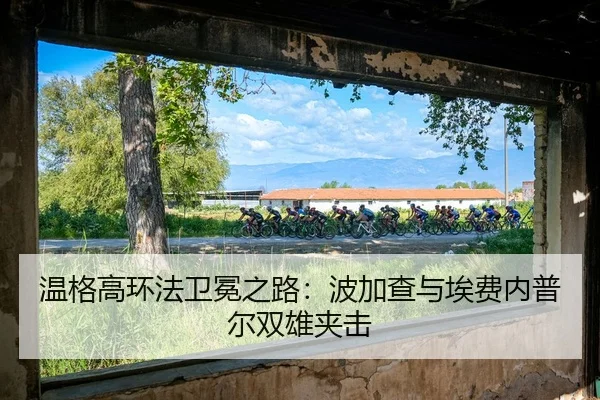 wen-ge-gao-huan-fa-wei-mian-zhi-lu-bo-jia-cha-yu-ai-fei-nei-pu-er-shuang-xiong-jia-ji-2-455.jpg